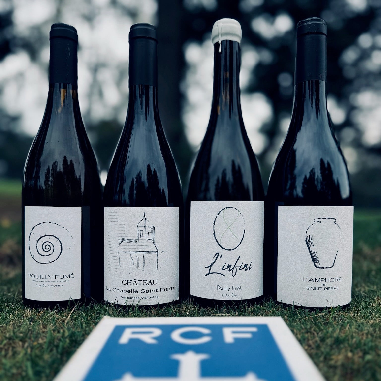 Aromavinis Wine Tasting